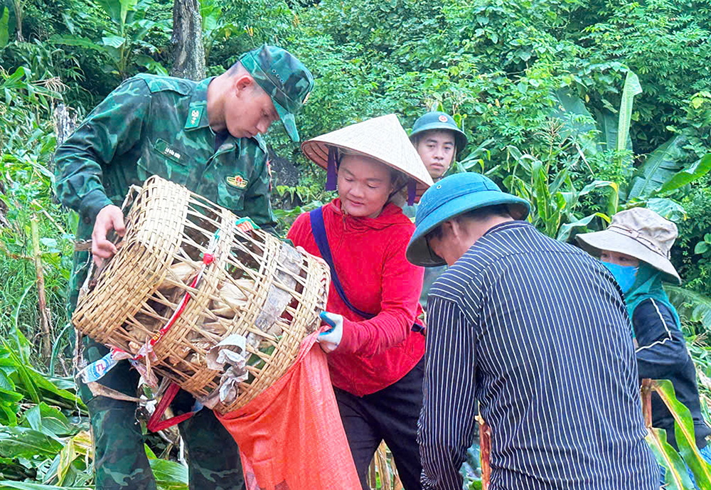 Nhiều mô hình giúp dân xóa nghèo 